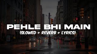 Pehle Bhi Main Slowed Reverb with Lyrics A Lyrical Journey of Emotions 🎧❤️ [upl. by Iggem]