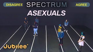 Do All Asexuals Think the Same  Spectrum [upl. by Jonathon305]