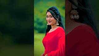 Barasat ke Din Haye song kumarsanulofi bollywood music hindisong love reverb slowed [upl. by Haduhey137]