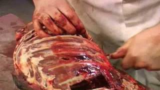 Roe Deer Butchering Part 2  The Hunting Life [upl. by Lessard]