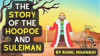 The Hoopoe and Suleiman animated story about divine destiny vs human authority [upl. by Admana909]