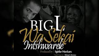 BigL WaSekai Intswarele [upl. by Bord]