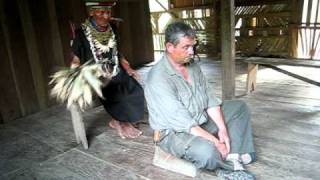 Amazon Shaman healing ritual [upl. by Ainadi]