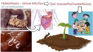 How To Get Rid Of Nematodes In The Vegetable Garden [upl. by Hael]