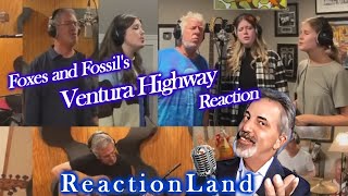 ReactionLand Foxes amp Fossils Ventura Highway  Darwin Conort Interview [upl. by Ayn188]