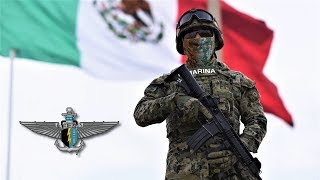 ¿Cómo es la Vida de los FES Fuerzas Especiales de México [upl. by Hurff756]