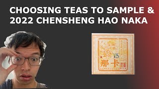 Choosing Teas to Sample amp 2022 Chensheng Hao Naka Raw Puerh Inbetweenisode 379 [upl. by Sergeant]