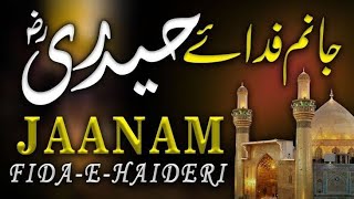 Jaanam FidaeHaideri  Original Official HD Kalam  2018  AMJAD BALTISTANI  New Kalam [upl. by Acinet]