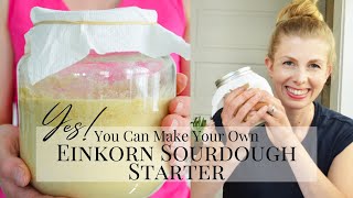 MAKE EINKORN SOURDOUGH STARTER FROM SCRATCH  Transition a Sourdough Starter to Einkorn [upl. by Carman476]