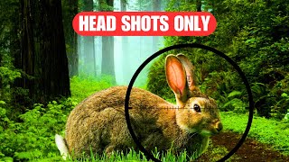 Air Rifle Shooting Rabbits  Heads Go TWACK [upl. by Acinnej]