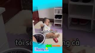 Quê nha bố 😅 laonap [upl. by Antonietta]