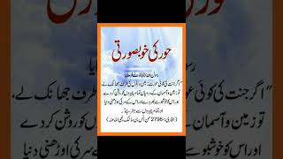 Hoor ki khubsurti quotes sad islamicstatus love life youtubeshorts shorts viralshorts [upl. by Nazarius]