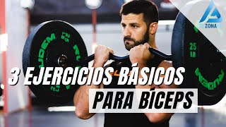 3 Ejercicios básicos para bíceps  Con mancuernas y barra Z [upl. by Naz]