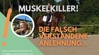 Die Anlehnung beim Reiten  Muskelkiller oder Muskelförderer [upl. by Millda]