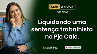 Liquidação de Sentença  PJe Calc  Salário pago por fora [upl. by Ai]