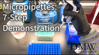 Micropipettes 7Step Demonstration [upl. by Hirschfeld]