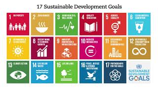 The Sustainable Development Goals redefining context risk and opportunity [upl. by Hanleigh]