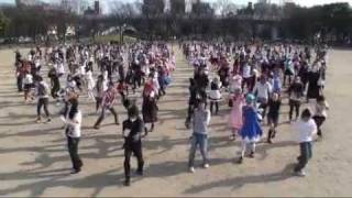 Cirnos Perfect Math Class by 300 jpn personz [upl. by Gideon645]