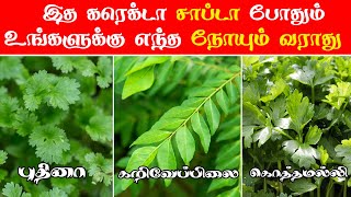 புதினா கறிவேப்பிலை கொத்தமல்லி பயன்கள்  Healthy Leaves to Eat  Tamil Health Tips  Healthy Tips [upl. by Ralaigh101]