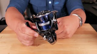 Daiwa Legalis LT Reel Review Value  Performance [upl. by Bultman]