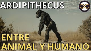 La Evolución de mono a humano  ARDIPITHECUS [upl. by Novrej990]