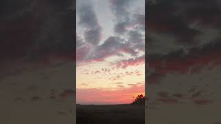 Pink Marshland Scene Sunset  30 Second Sunset for Weds 110624 meditation sunset timelapse [upl. by Malas]