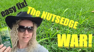 Easy way to get rid of NUTSEDGE nutgrass amp zeon zoysia update [upl. by Okimik]