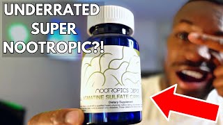 Agmatine Sulfate Review  My Experience amp Results [upl. by Tolecnal931]