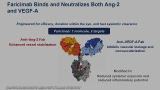 FDA approves faricimab Vabysmo for macular degeneration AMD amp diabetic macular edema DME  med [upl. by Dionne121]