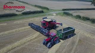 Case IH 8250 Axial Flow Combine  Sharmans Supplied [upl. by Pattison]