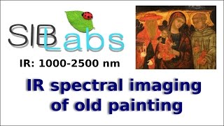 Infrared spectral imaging of old painting [upl. by Nawoj]