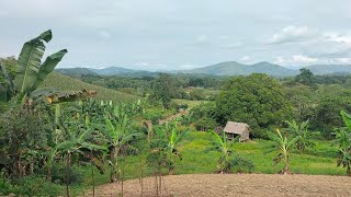 Mini vlogNapan ko Pinasyar ni auntie ken uncle ko nga baak idiay bukid uma da  Ilocano blog [upl. by Hsu]