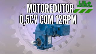 Motoredutor Vertimax Weg Cestari com motor de 05cv e 12rpm NA LiLo Redutores [upl. by Aihsoem]