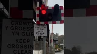 Skipping Alarm Ferryside Level Crossing Lowering Only One Barrier 291024 [upl. by Mixam]