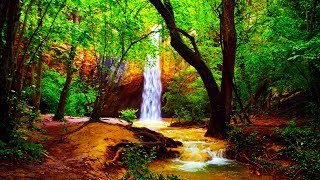 Relaxing Zen Music and Nature Sounds  Wooden Flute and Pan Flute  Meditation Sleep Sound [upl. by Bronwen]