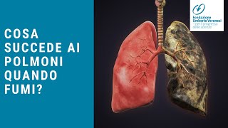 Come sono i polmoni di un fumatore Cosa succede ai tuoi polmoni quando fumi [upl. by Charline]