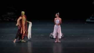 Kristina Shapran  La Bayadere 21102013 [upl. by Fromma]