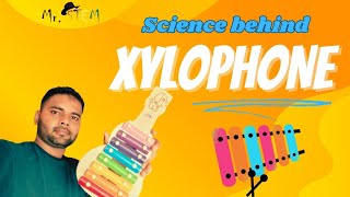 Xylophone Secrets Unlocking the Power of Pitch 🎶🔍🪇  Mr STEM India [upl. by Sonitnatsnoc989]