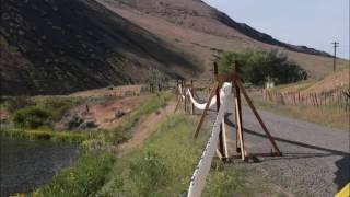 Whooshh  Salmon Transported 1100 Feet 100 Feet High [upl. by Davidson]