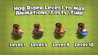 Hog Rider Level 1 to MAX All Animation  Cost  Time  Clash Of Clans [upl. by Luapnaes]