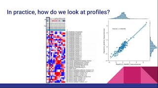 The beginners guide to morphological profiling Morphological profiling part 1 [upl. by Maxma616]