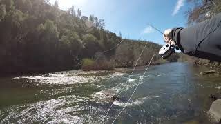 Fishing Mokelumne River at Electra [upl. by Anyt879]