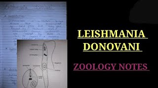 Leishmania donovani notes bsc3rdyearzoologynotes zoology bsczoology vbu bbmku skmu shorts [upl. by Margaux]