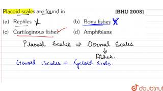 Placoid scales are found in [upl. by Antoinette]