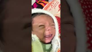 New born Baby crying [upl. by Daren687]