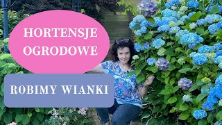 HORTENSJE OGRODOWE we wrześniu  Co robić gdy kwiaty przekwitną  DIY wianek z suszonych hortensji [upl. by Cynde]