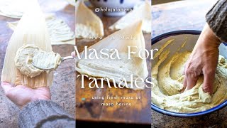 Tamale Making 101 The Key to Perfect Masa Fresh amp Masa Harina  ¡Hola Jalapeño [upl. by Adla]