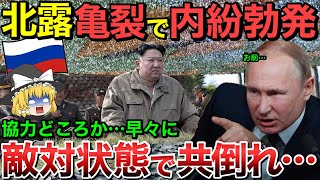 【ゆっくり解説】ロシア軍と北朝鮮軍で内戦勃発！遂に敵対状態となり戦線崩壊へ…【ゆっくり軍事プレス】 [upl. by Atirres]