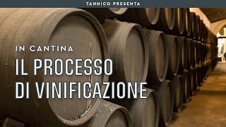 Il processo di vinificazione in pochi step  Tannico Flying School [upl. by Sabelle32]