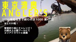 【東京湾奥】川越水上公園プールの管理釣り場でエリアフィッシングにチャレンジ【シーバス釣り】2024 3月 Can We Catch Fish In Tokyo Bay 41 [upl. by Aivatan]